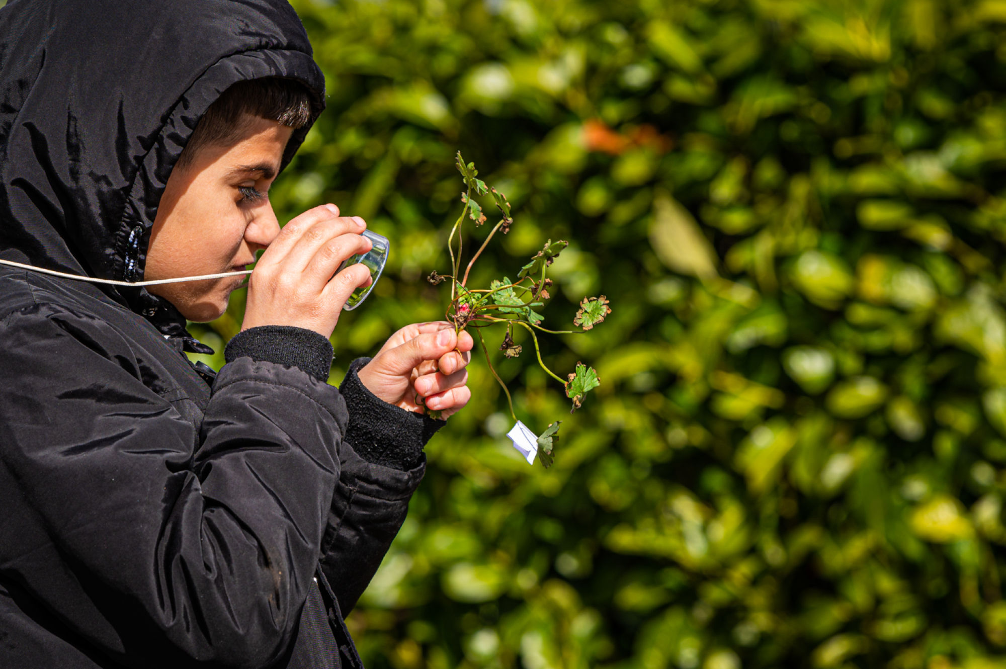 Gi-ga-groene Kinderboekenweek