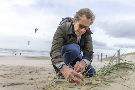 Reportage meer leven op een groen strand