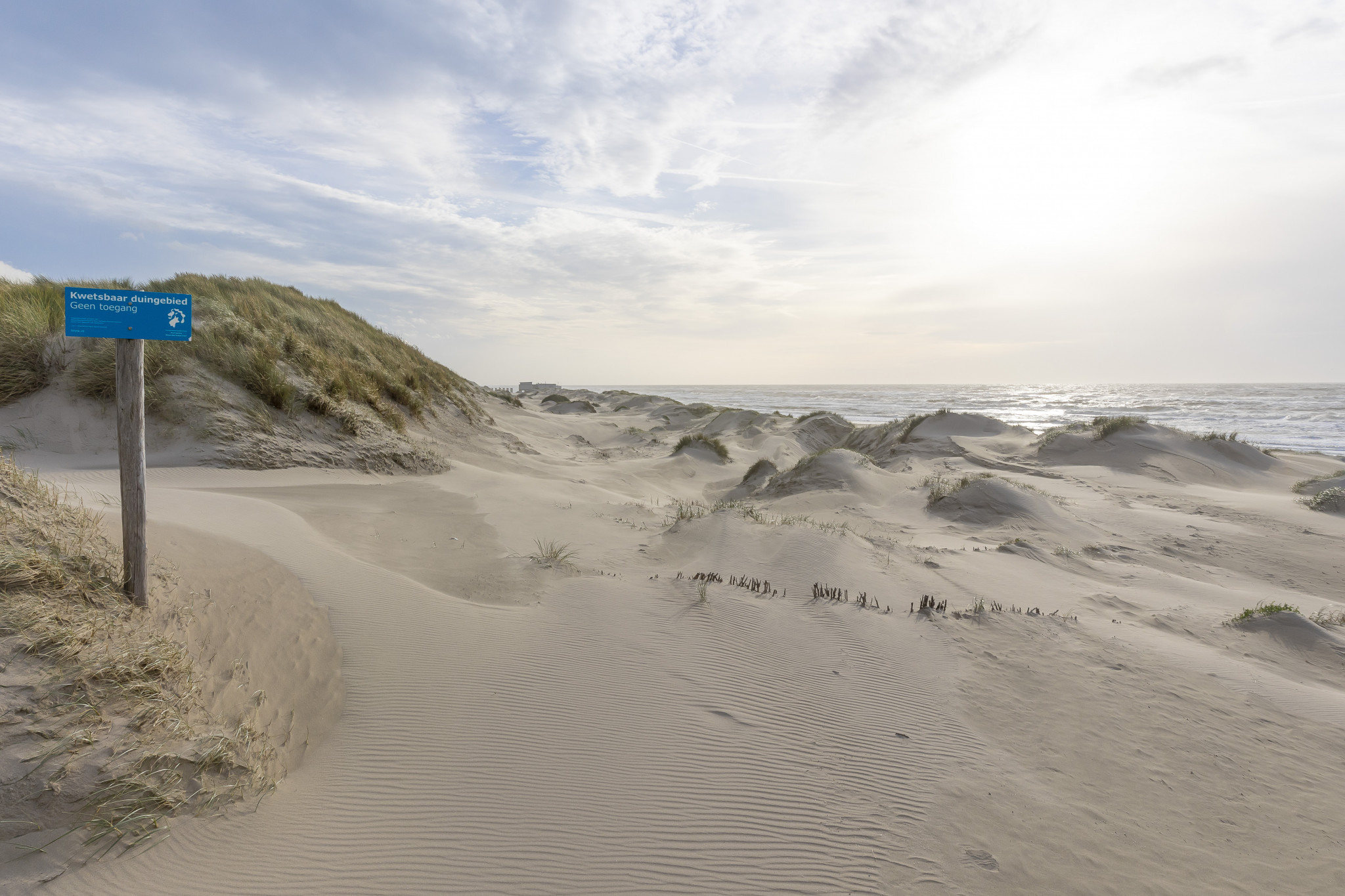 Meer leven op een Groen Strand