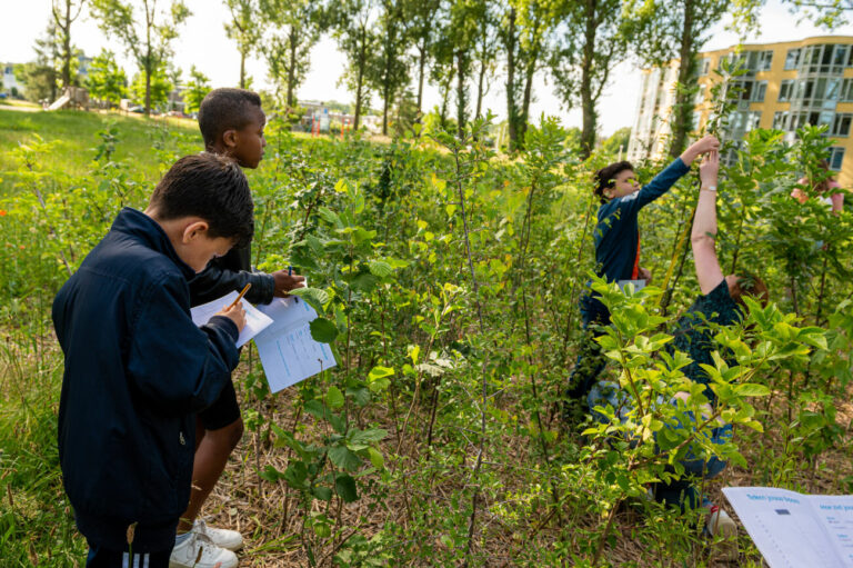Kinderen noteren observaties in een groen park, omringd door jonge bomen en struiken.