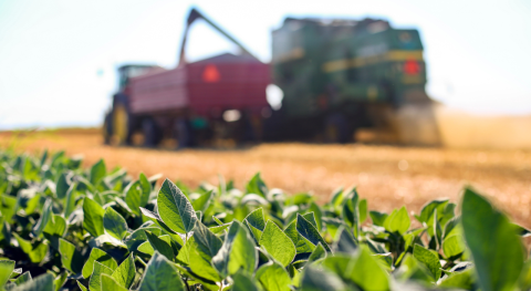 Natuur- en milieuorganisaties: versnellen transitie nóg urgenter door oorlog in Oekraïne