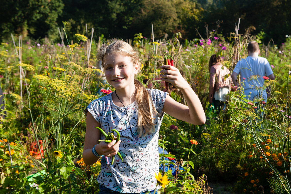 Leer kinderen in de schooltuin al omgaan met droogtestress