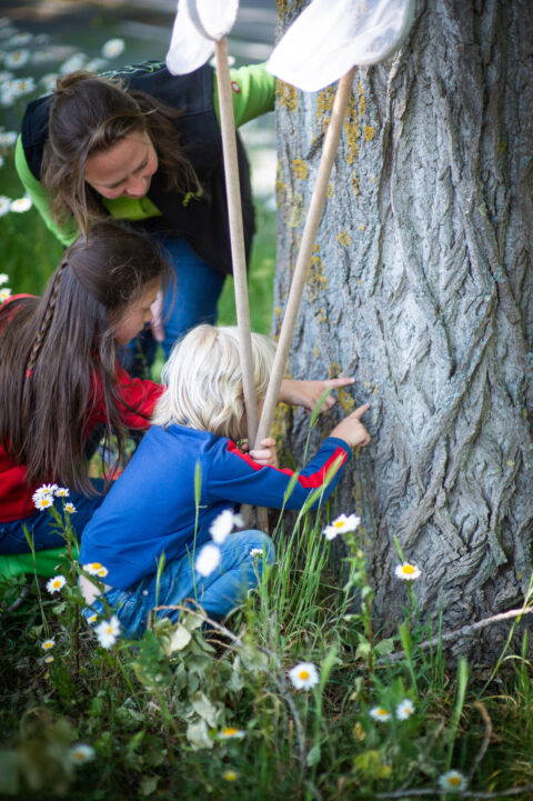 Drie kinderen onderzoeken boomschors met vergrootglazen in een bloeiende weide.