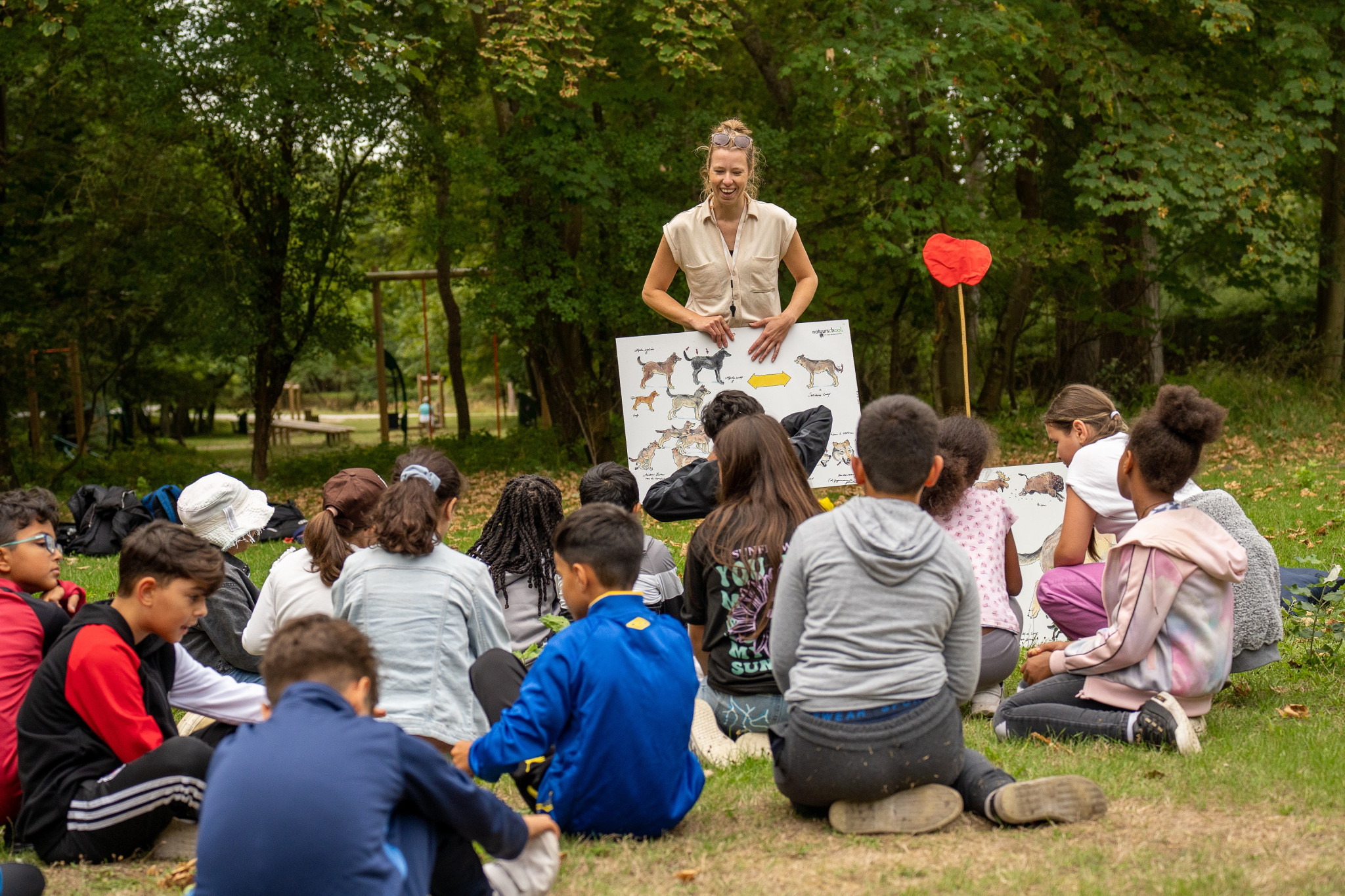 Haagse wolven in de duinen