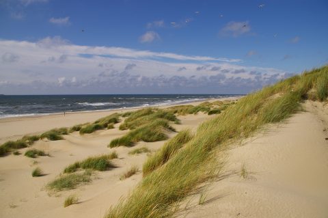 Roompot gasten beleven de natuur dankzij cocreatie met IVN Natuureducatie