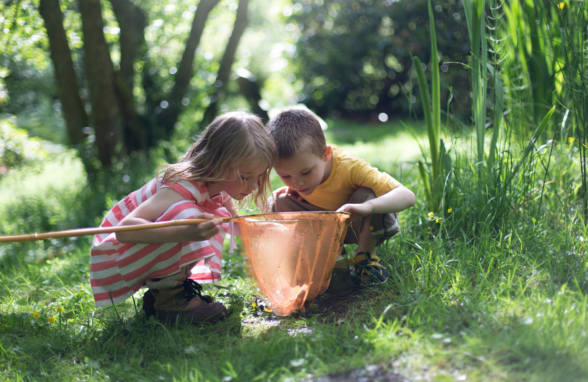 Kinderen moeten meer leren in de natuur