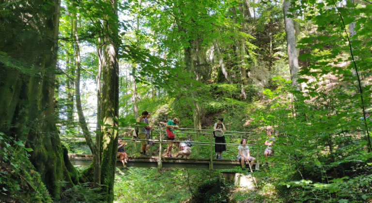 Een groep mensen staat en zit op een smalle brug omringd door weelderige groene bomen en gebladerte in een bos, genietend van het natuurlijke landschap op een zonnige dag.