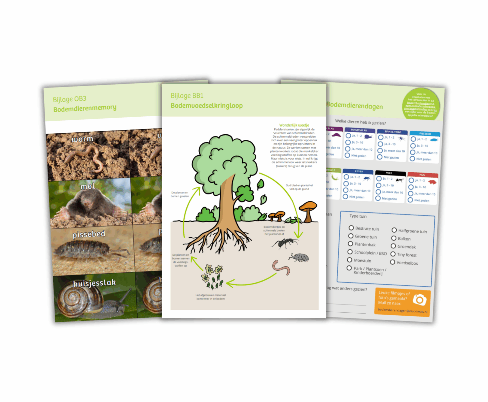 Drie educatieve flyers over bodemdieren en kringloop, met foto's en diagram van een boomecosysteem.