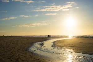 IVN Route Bergen aan Zee