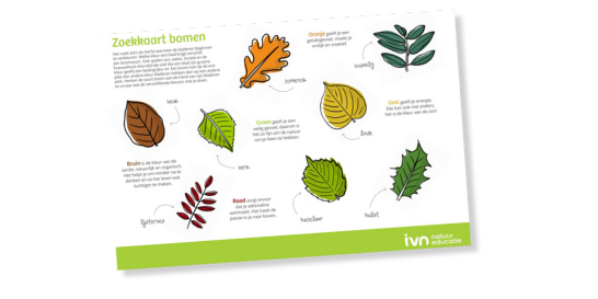 Zoekkaart met illustraties van bladeren in verschillende kleuren en vormen, voor bomenidentificatie.