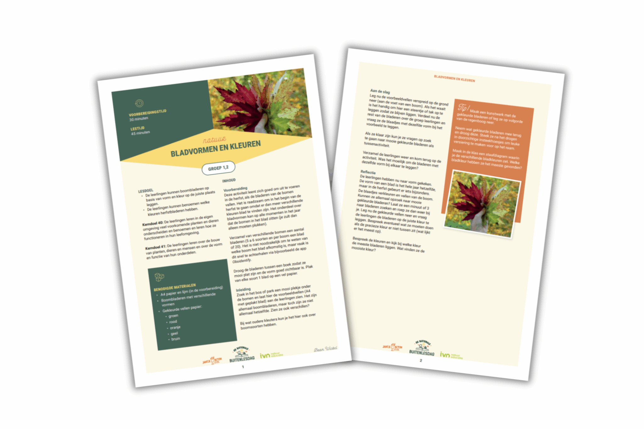 Twee A4-pagina's over bladvormen en kleuren. Bevat tekst en afbeeldingen van bladeren.