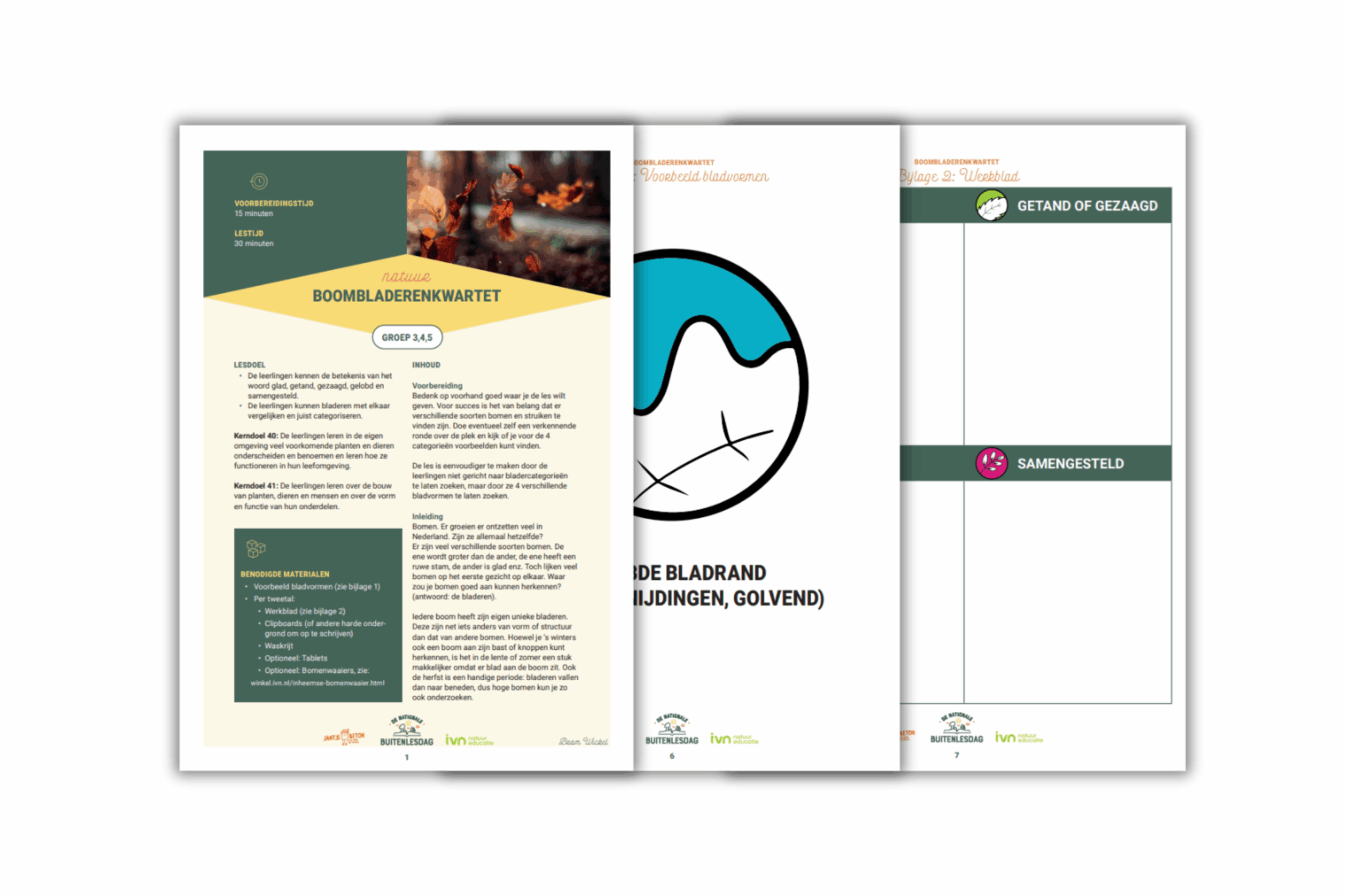 Drie pagina's van een educatief document over boombladeren, met lesdoelen en illustraties.