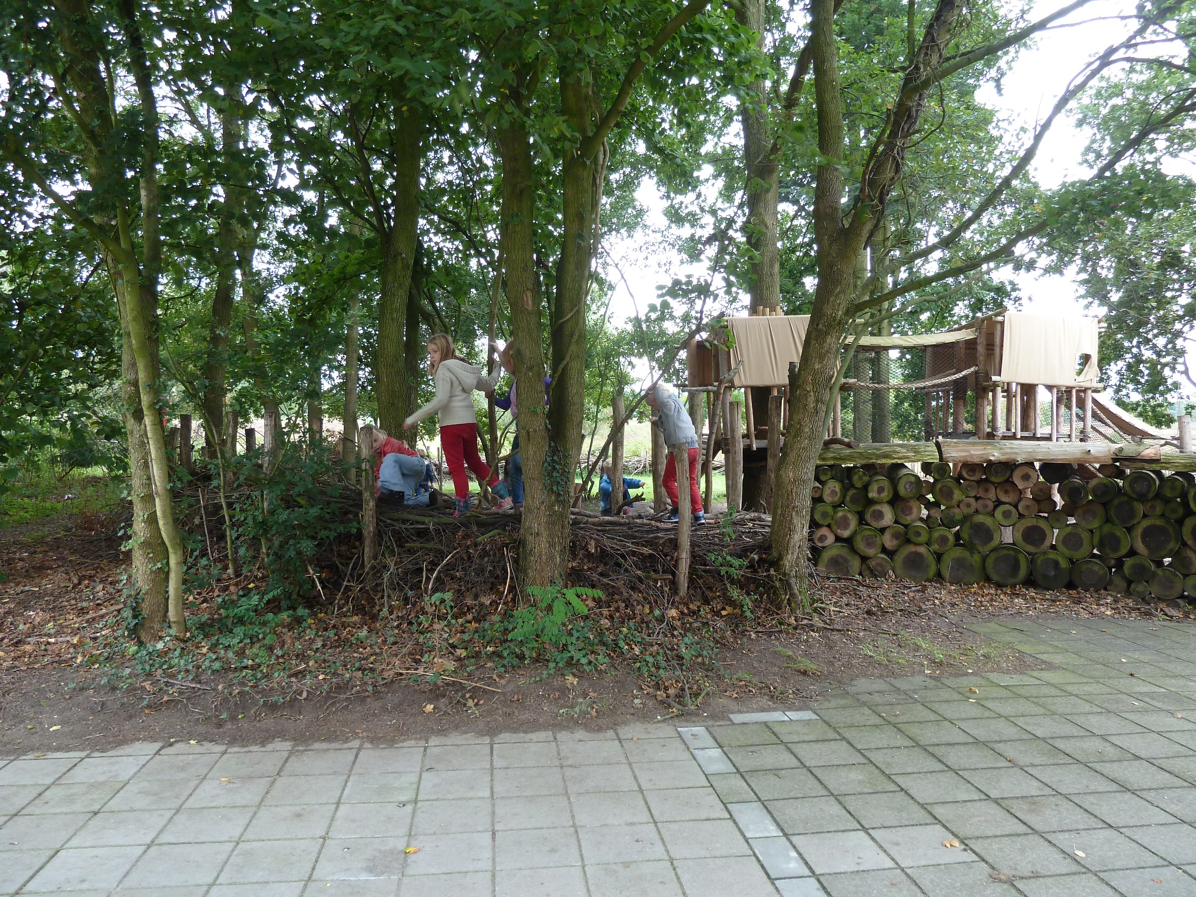 buitenles bomen op het plein