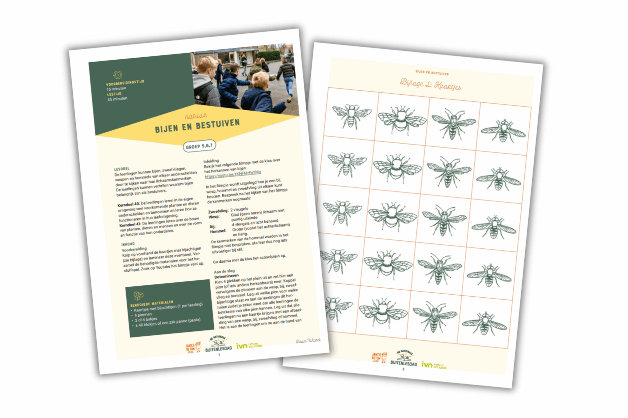 Twee pagina's over bijen en bestuiving met tekst, illustraties en foto's voor groep 5-7 educatie.