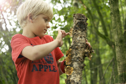 Jongen in rood T-shirt onderzoekt schors en paddenstoelen in bosrijke omgeving.