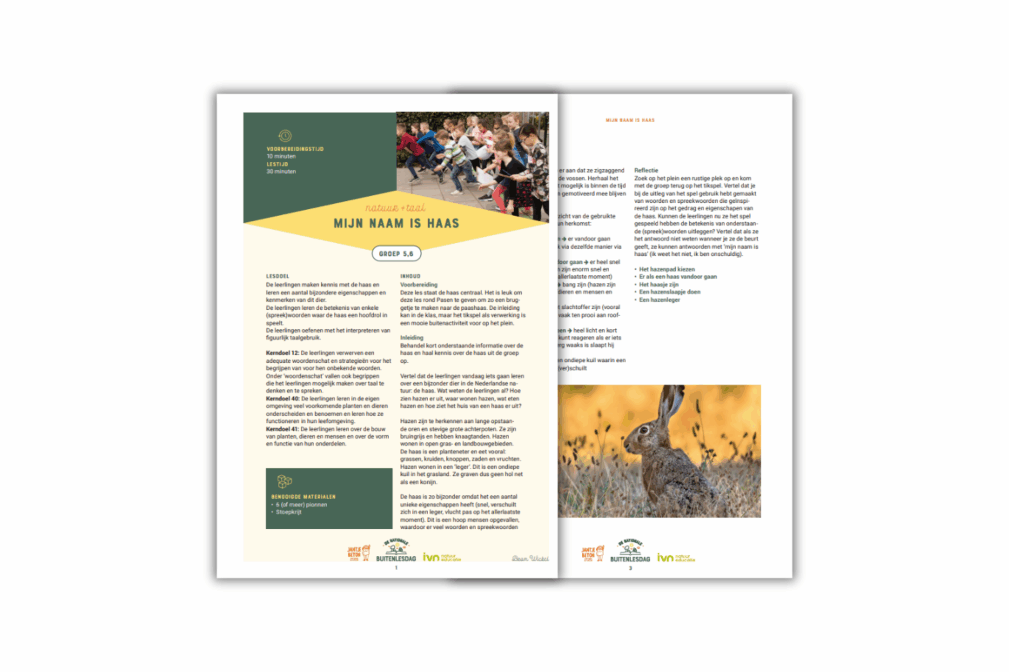 Educatieve flyer over hazen met tekst en afbeelding van een haas in de natuur. Geschikt voor groep 5-6.