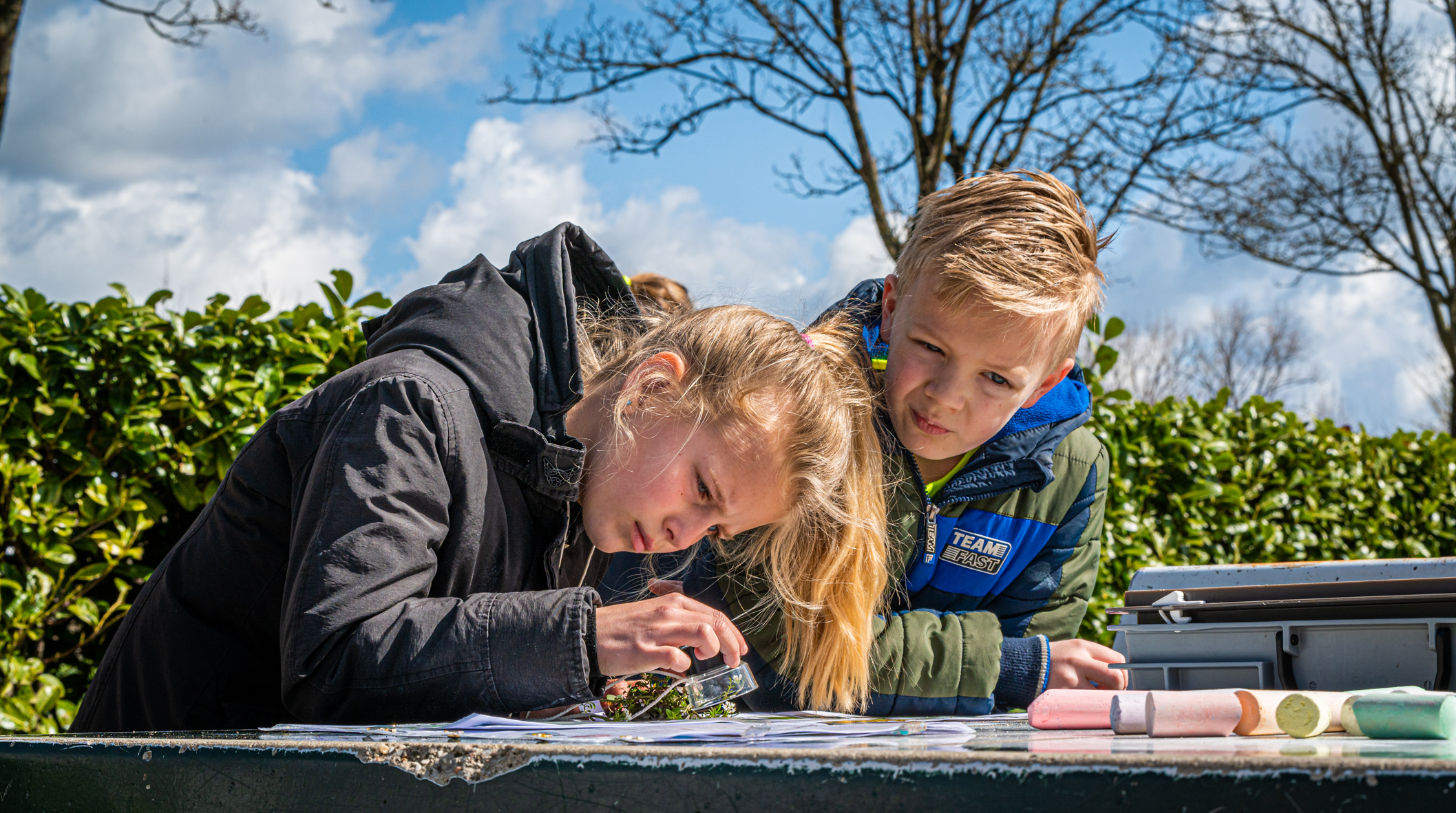 Kinderen bestuderen een plant met een vergrootglas buiten, met krijt op tafel.
