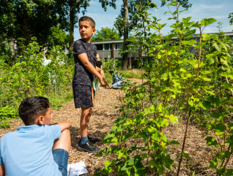 Twee jongens in een groene tuin, eentje staat op het pad, de ander zit met papier.