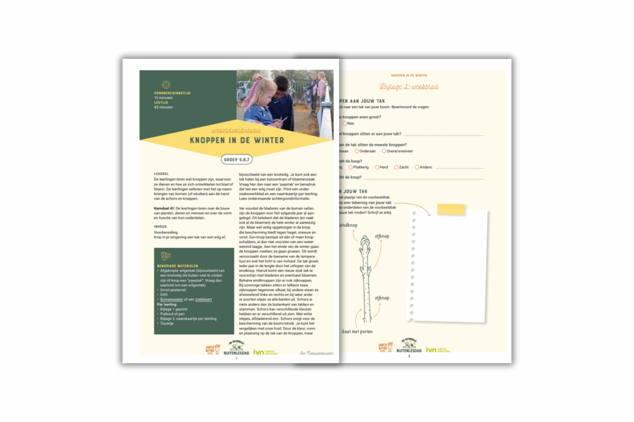 Twee pagina's van een educatief werkblad over knoppen in de winter voor groepen 5, 6 en 7.