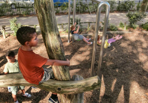 Kinderen spelen in een speeltuin, met een jongen klimmend op een houten structuur en anderen op schommels.