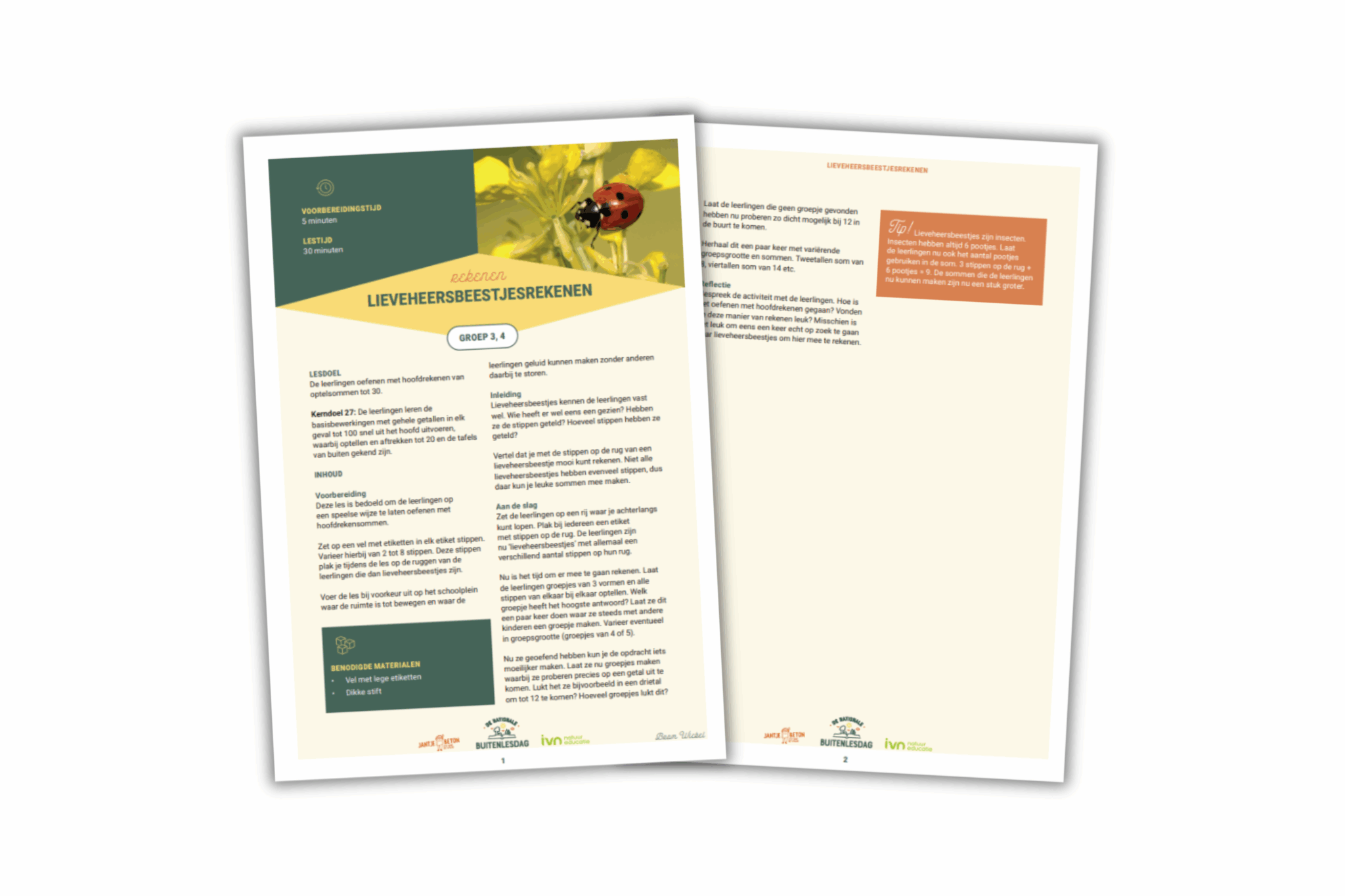 Twee educatieve pagina's over lieveheersbeestjesrekenen met tekst en afbeeldingen.