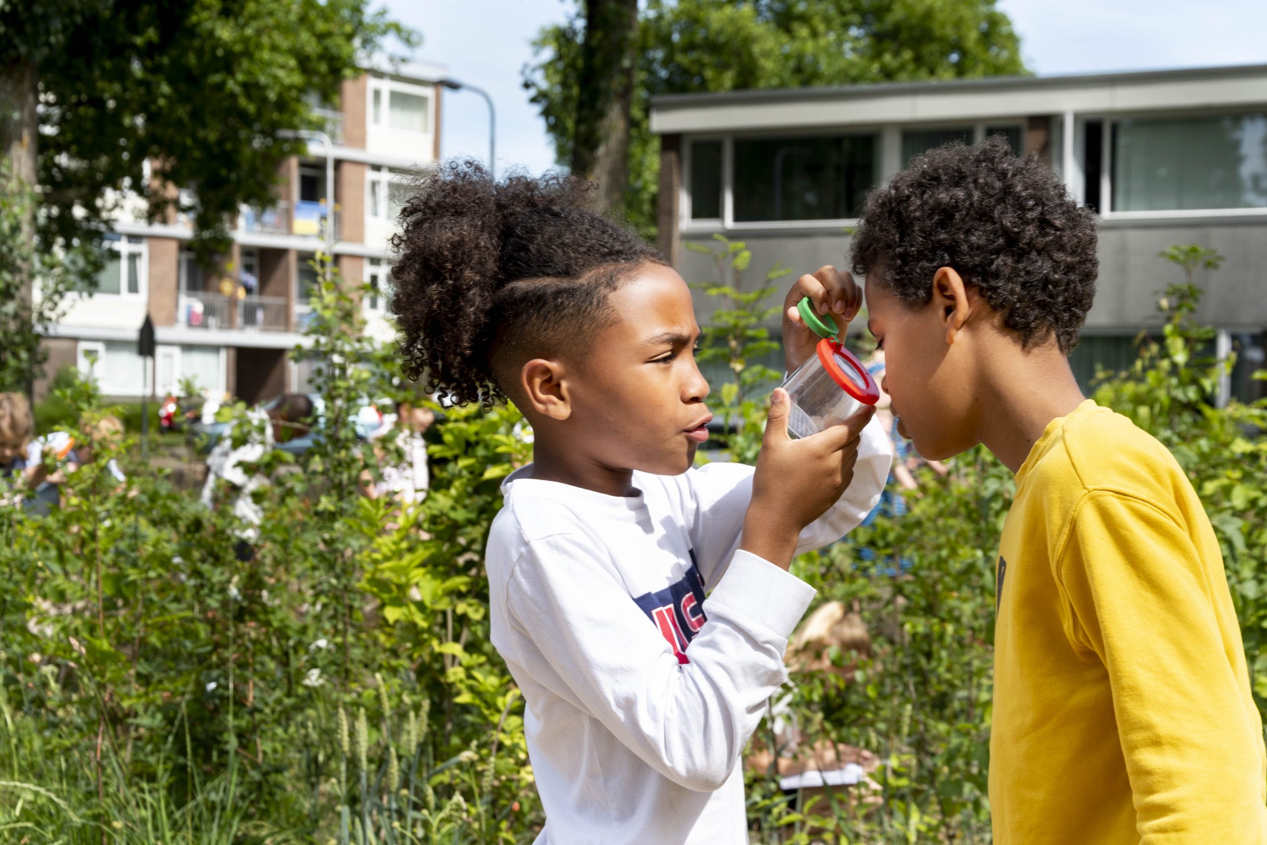 Twee kinderen bestuderen insect in potje in groene tuin met gebouwen op de achtergrond.