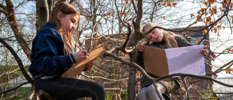 Twee kinderen tekenen op clipboards, zittend in een boom, omgeven door herfstbladeren.