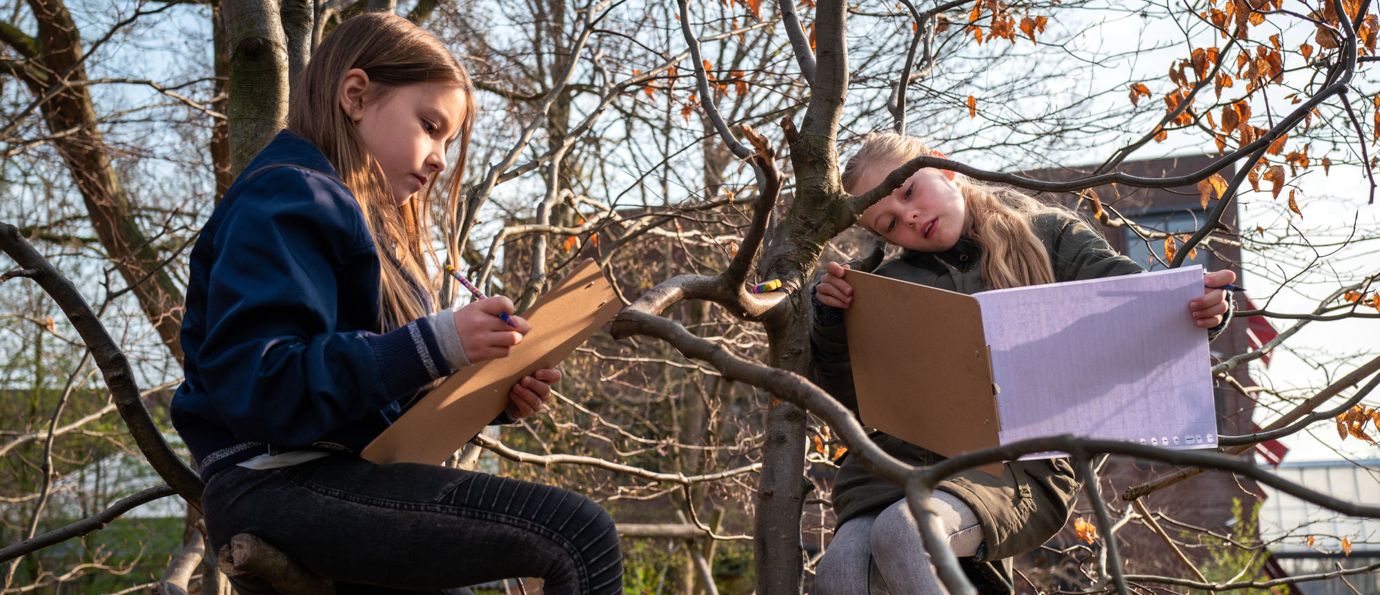 Twee kinderen tekenen op clipboards, zittend in een boom, omgeven door herfstbladeren.