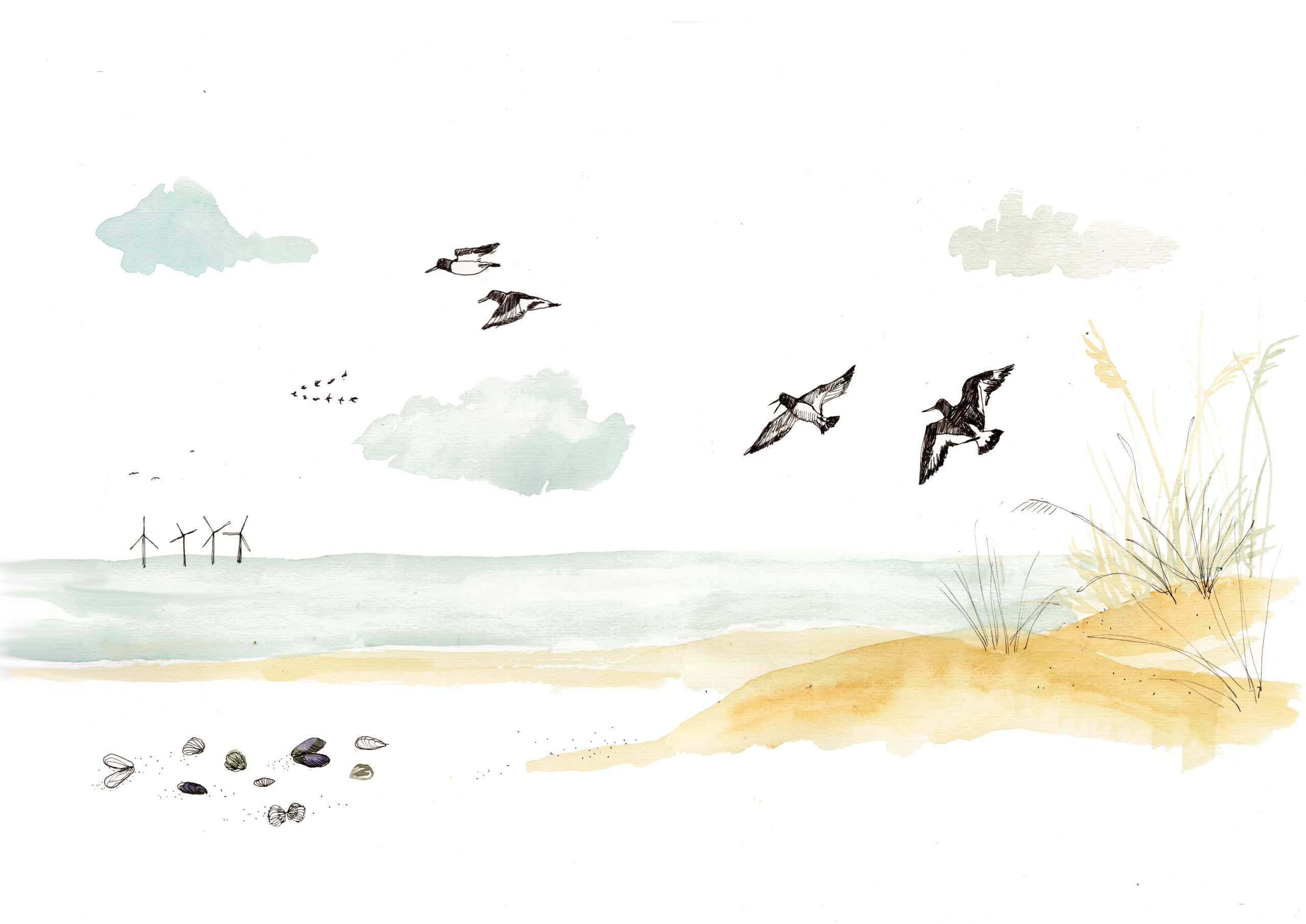 Strandlandschap met vliegende vogels, zandduin, schelpen, zee en windturbines in de verte.
