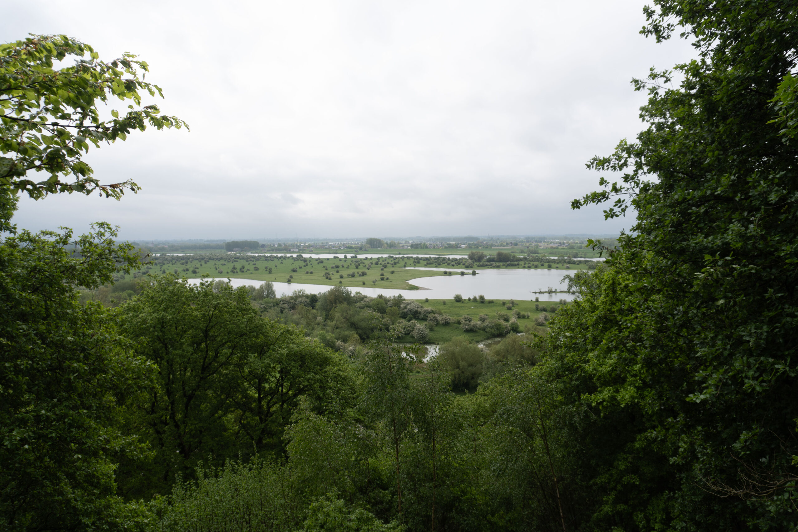 Uitzicht op een groen landschap met boomrijke voorgrond en meren onder een bewolkte hemel.