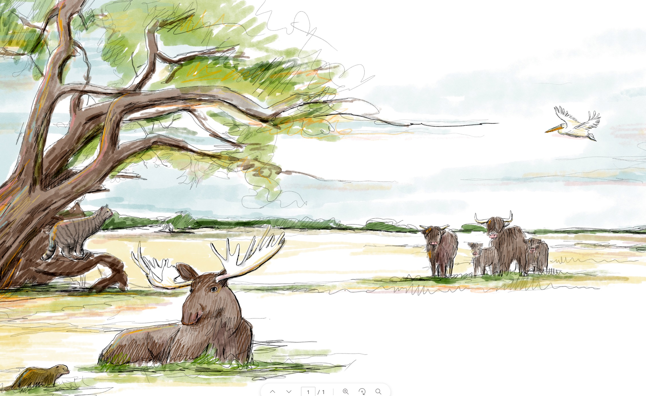 Schilderachtige scène met dieren: eland liggend, koeiengroep, kat in boom en vliegende pelikaan.