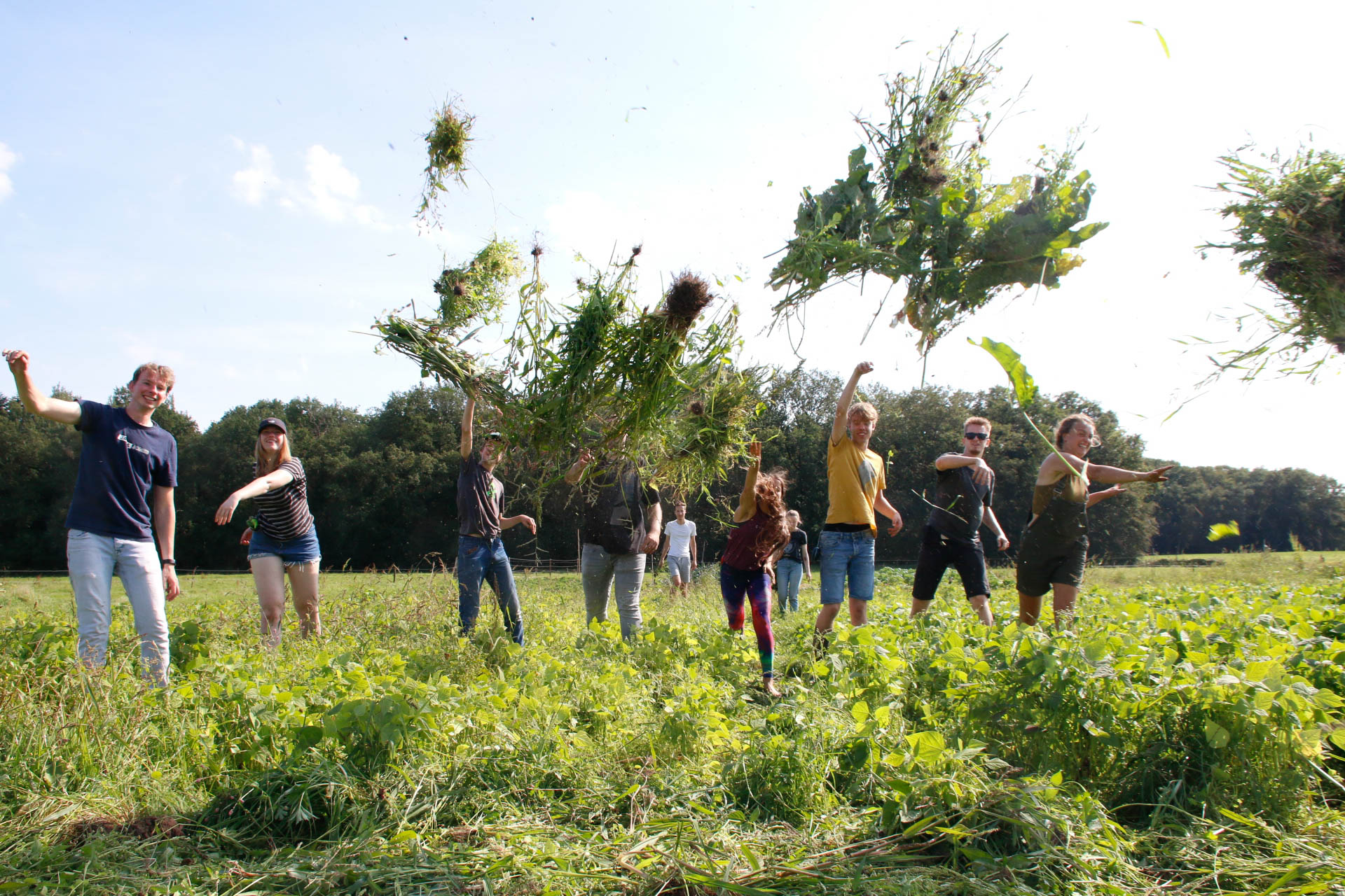 Mensen werpen enthousiast plantbossen in een zonnig grasveld.
