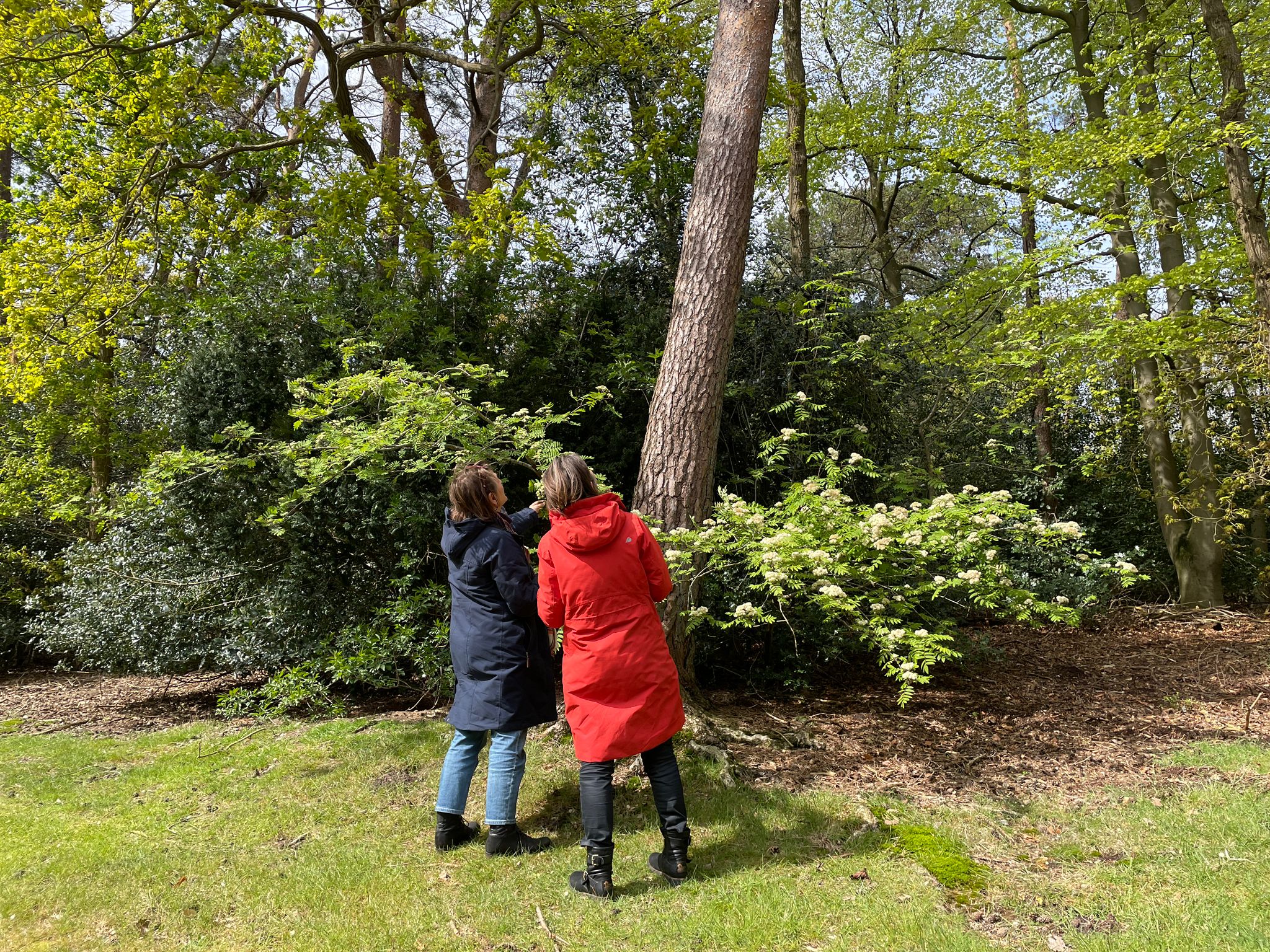 Twee mensen in jassen staan in een bosrijke omgeving, kijkend naar bomen en struiken.