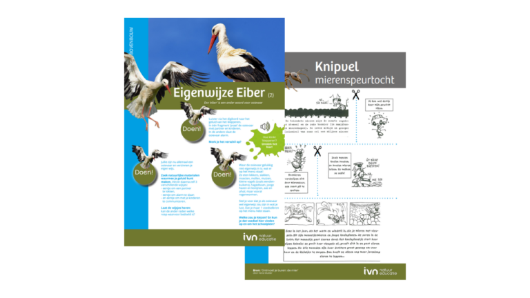 Educatief flyer met ooievaarfoto's en knipvel mierenspeurtocht, gericht op natuuractiviteiten voor kinderen.