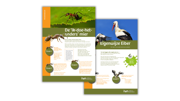 Educatieve folders over mieren en ooievaars, met foto's en interactieve activiteiten.