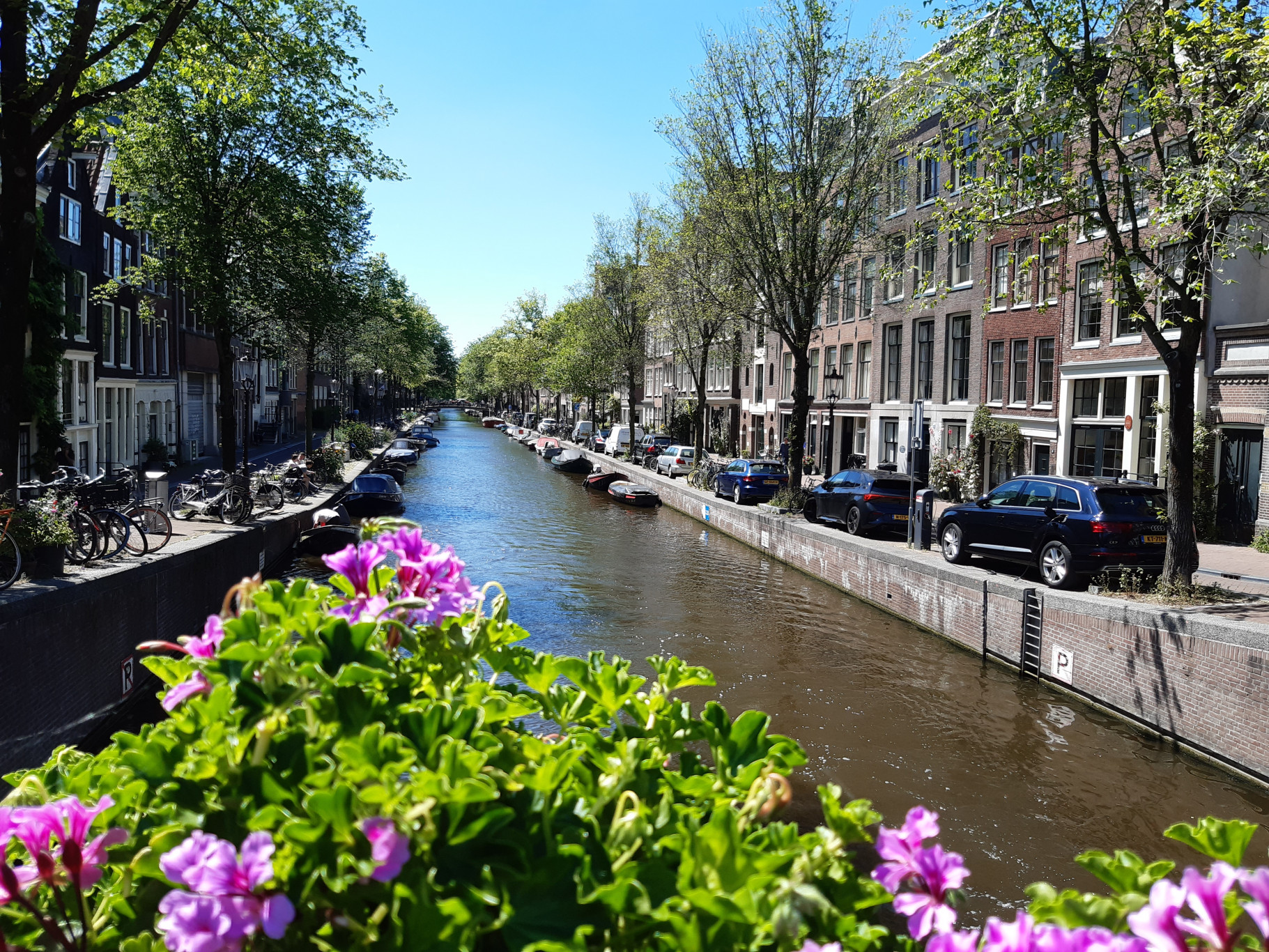 Amsterdamse gracht met bomen, en bloemen op de voorgrond