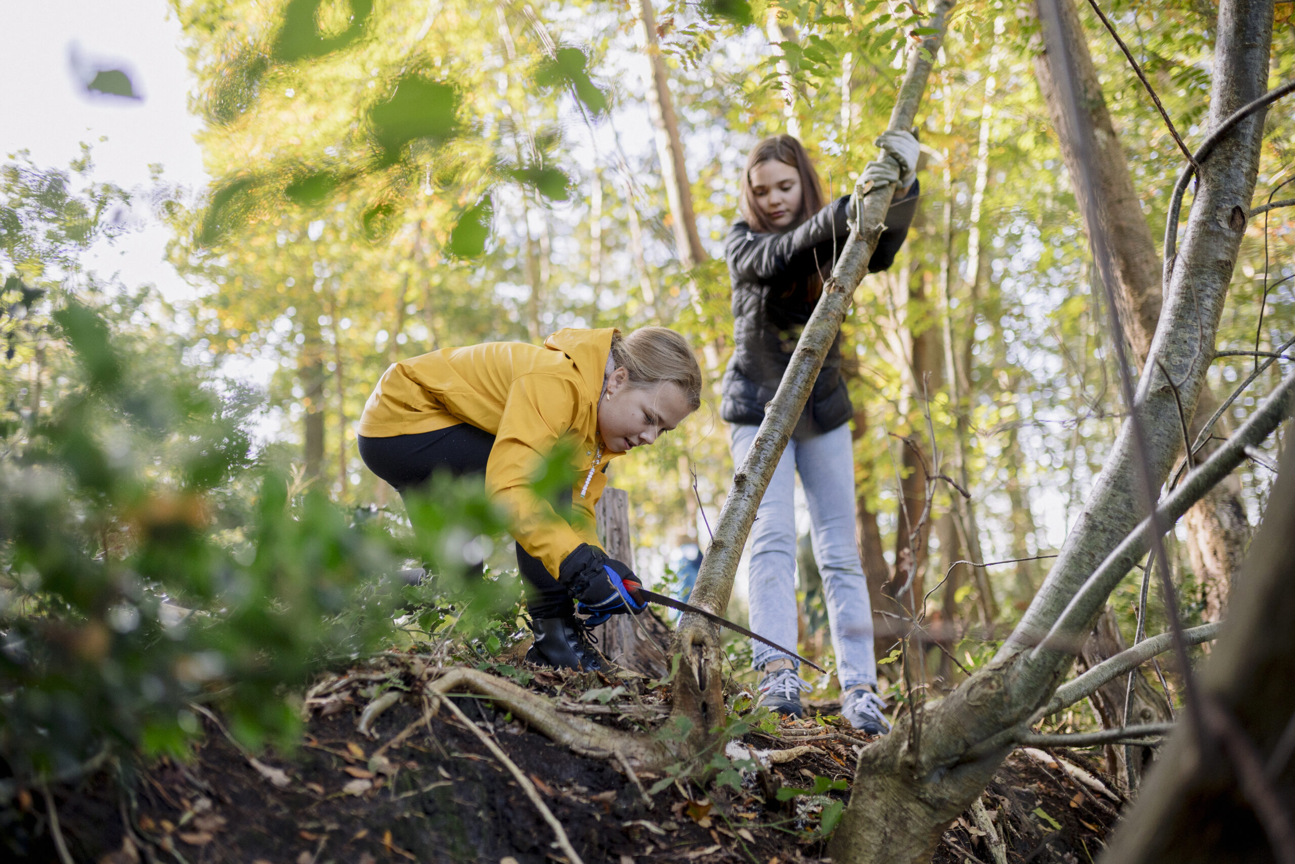Twee meisjes werken samen aan boomonderhoud in een bosrijke omgeving.