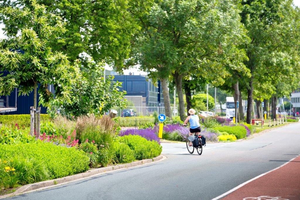 Fietser op een groene straat met kleurrijke bloemen en bomen langs het fietspad.