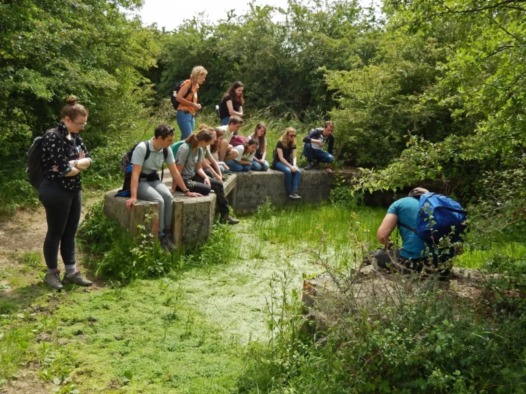 Groep mensen observeert een met mos bedekte waterplas in een groene, bosrijke omgeving.