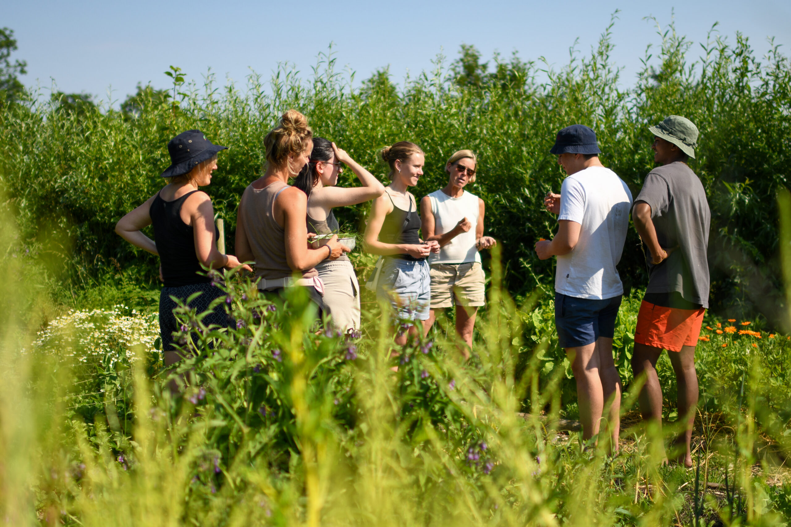Een groep mensen staat in een weelderige tuin, omringd door groen op een zonnige dag.
