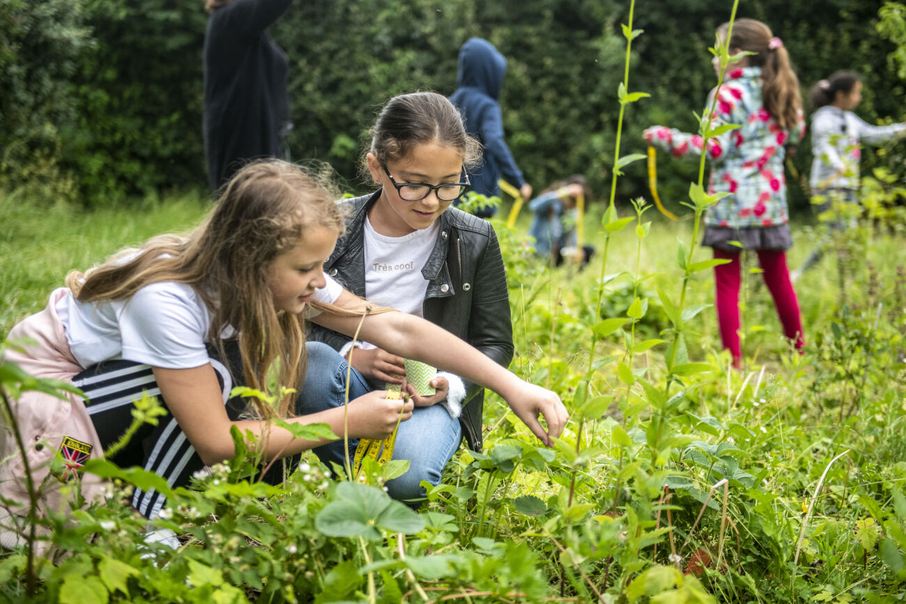 Kinderen onderzoeken planten in een weelderige, groene tuin.