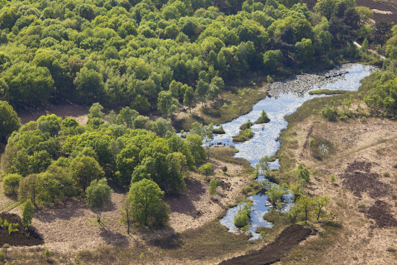 Luchtfoto van bosrijk gebied met kronkelende waterstroom en heldergroene loofbomen.