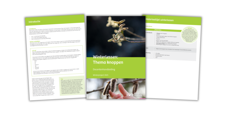 Drie pagina's over winterlessen, thema knoppen, met tekst en afbeeldingen van knoppen. Docentenhandleiding.