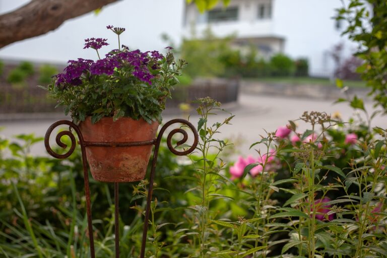 Terracotta bloempot met paarse bloemen op een ijzeren standaard in een groene tuin.