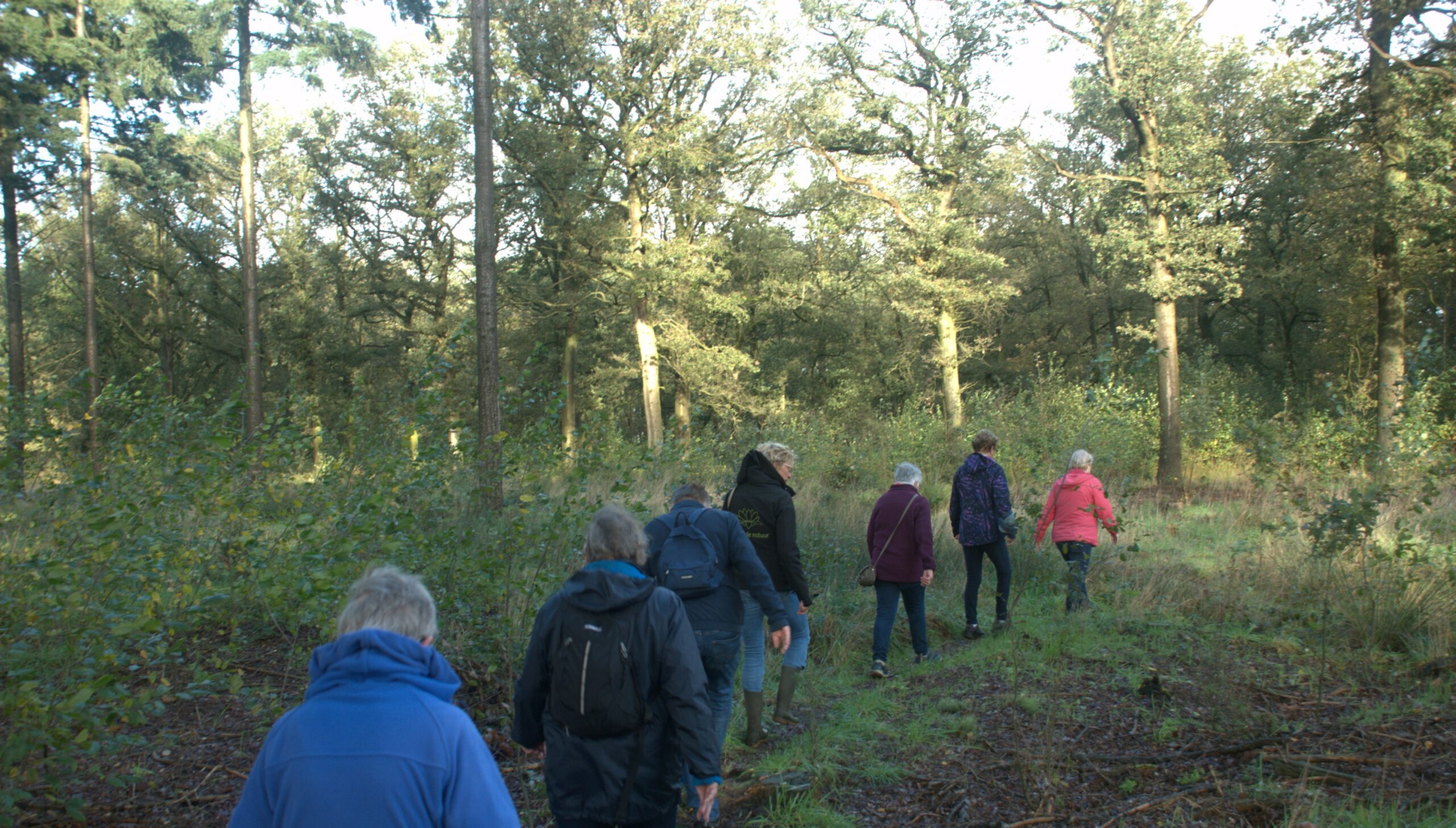 Groep mensen wandelt door een dichtbebost gebied op een zonnige dag.