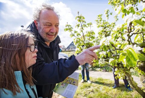 Man en kind bekijken bloeiende boom; man wijst naar bloemen terwijl hij een boekje vasthoudt.