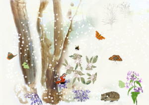 Illustratie vlinders