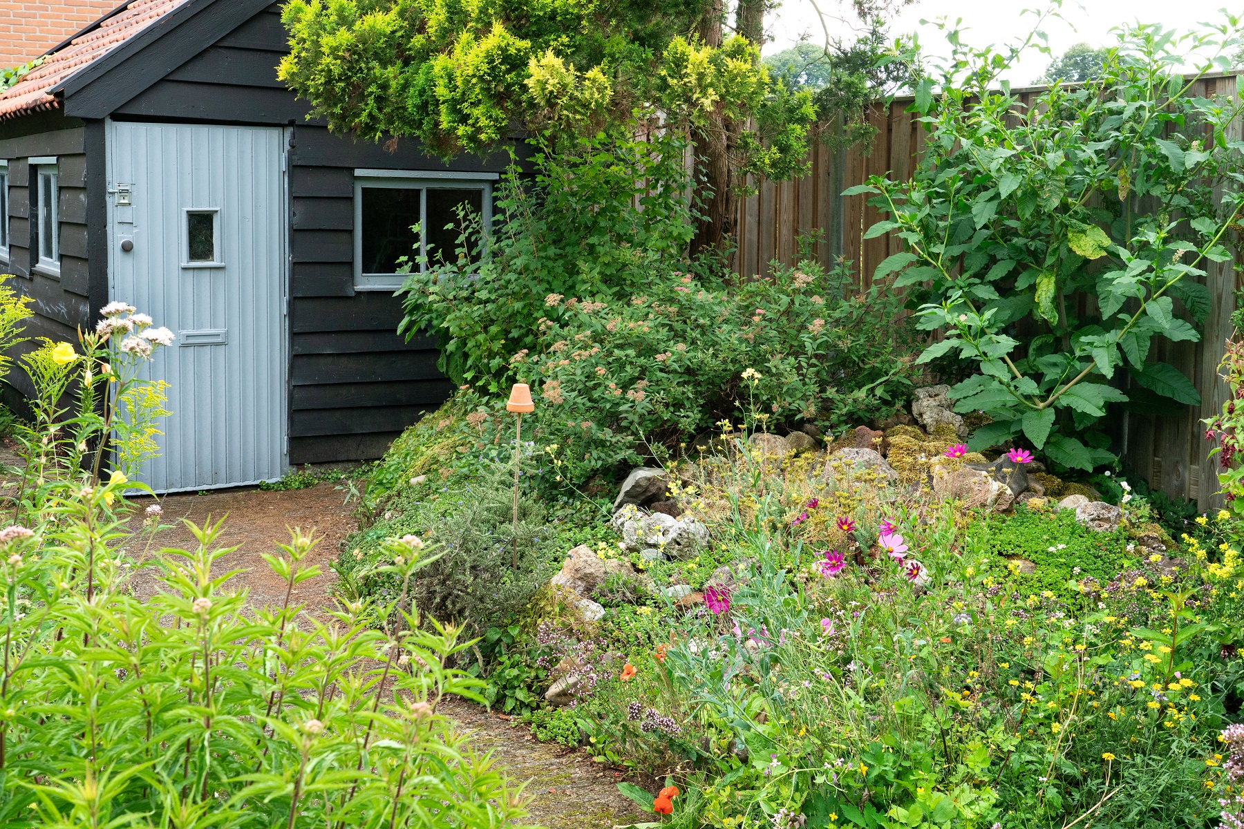 Tuin met bloemen en struiken naast een zwart houten schuurtje met een lichtblauwe deur.