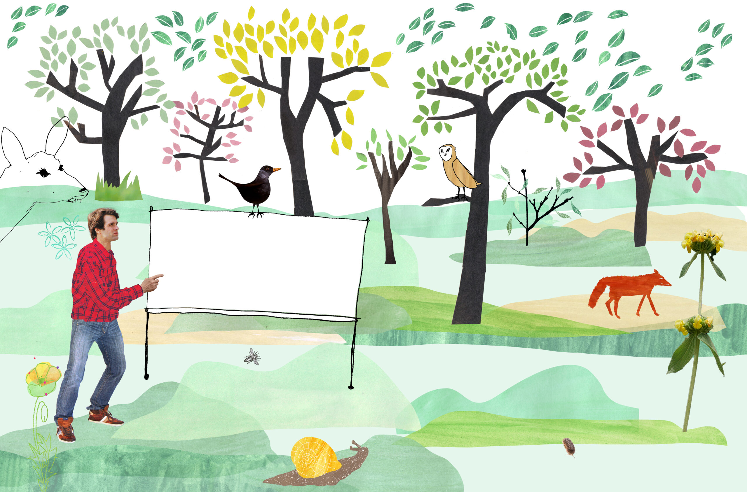 Man in een boslandschap met een wit bord, omringd door dieren en bomen.