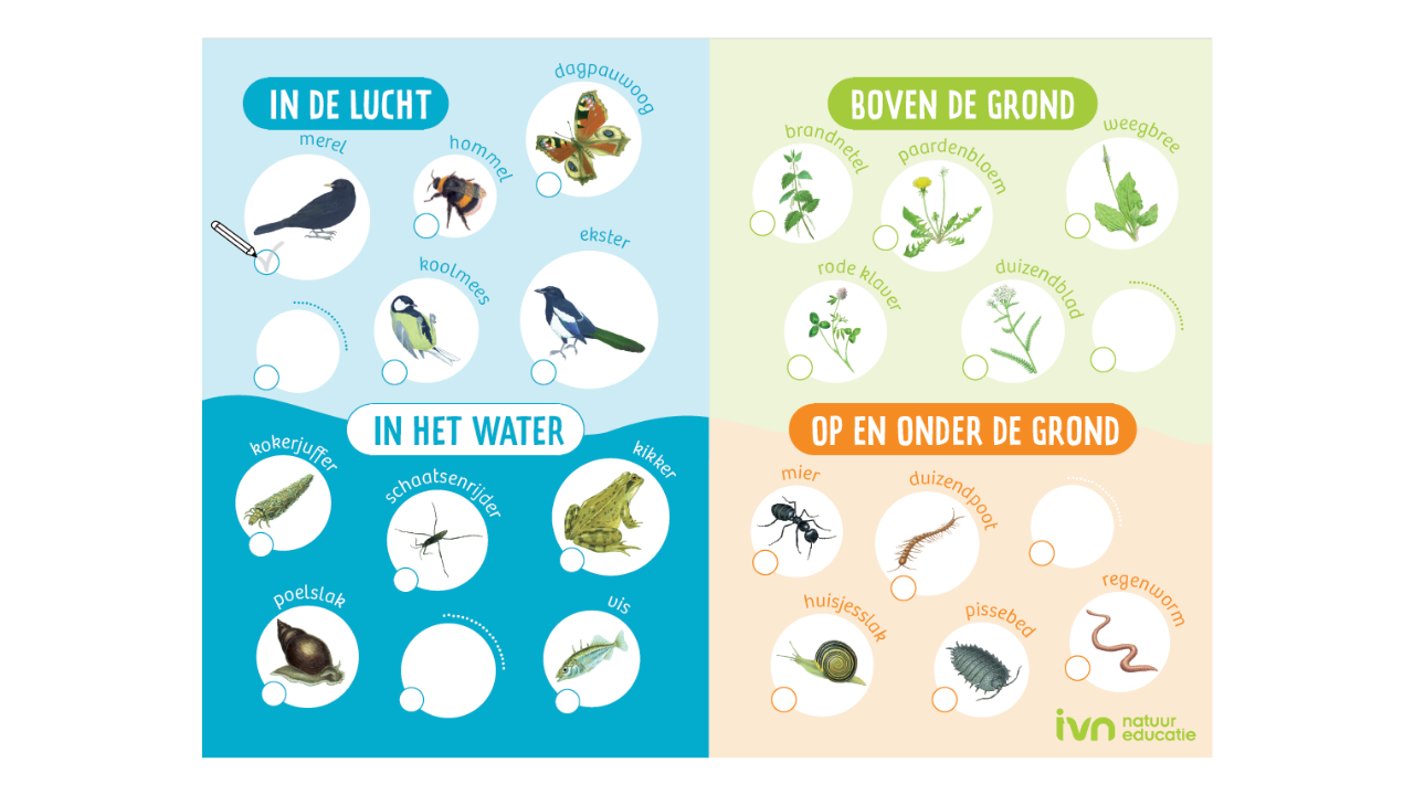Diagram met flora en fauna: "In de lucht", "In het water", "Boven de grond", "Op en onder de grond".